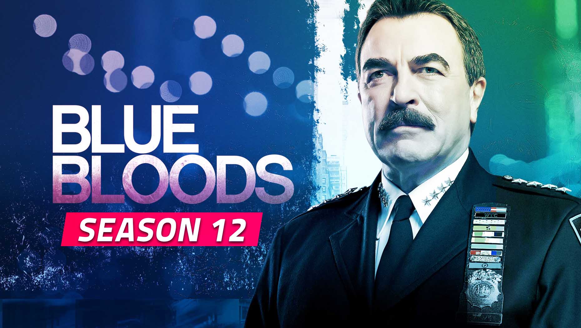 Bluebloods Season 12