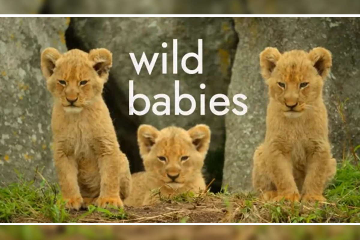 Wild Babies Season 1