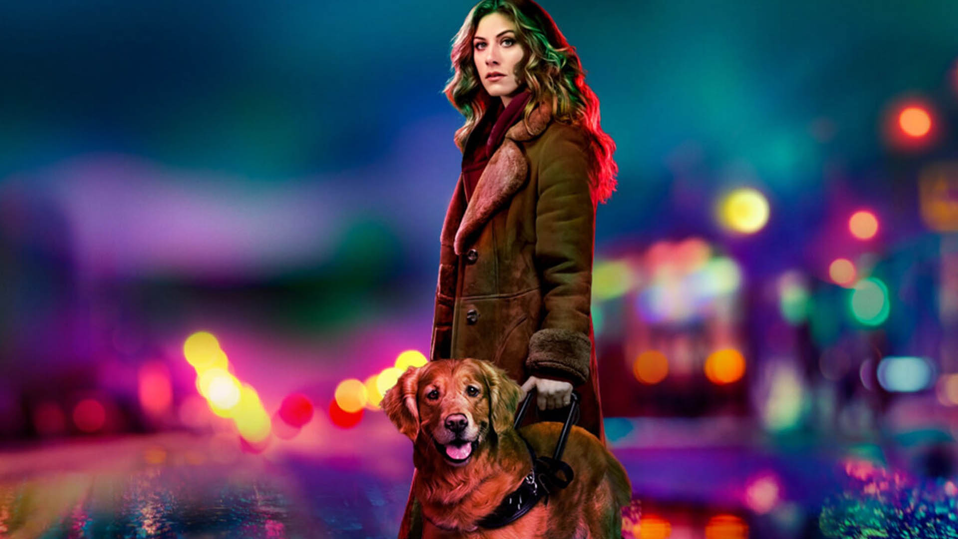 In the Dark Season 4