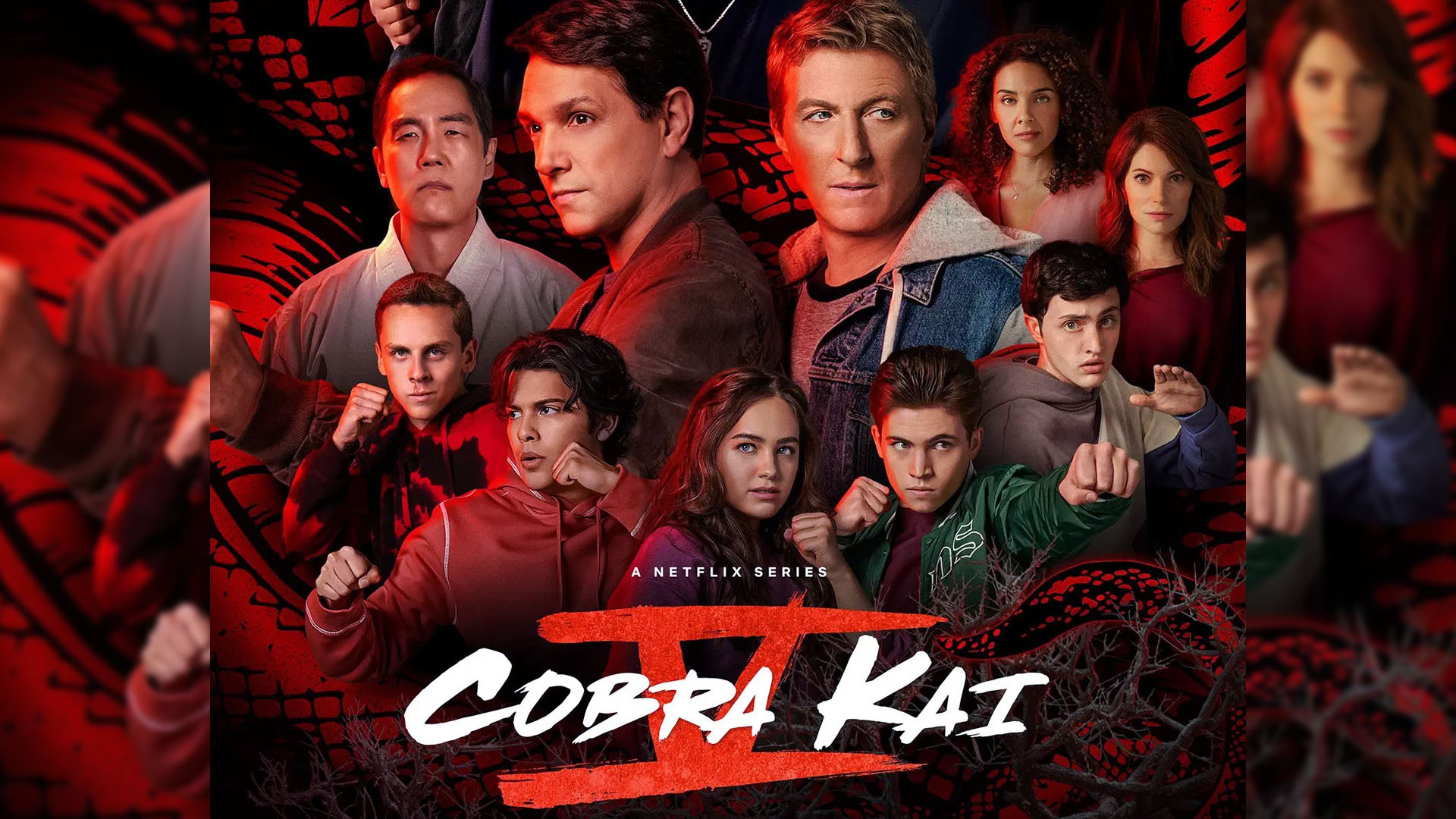 Cobra Kai Season 5 Release Date Is It Coming In August 2022  Daily  Research Plot
