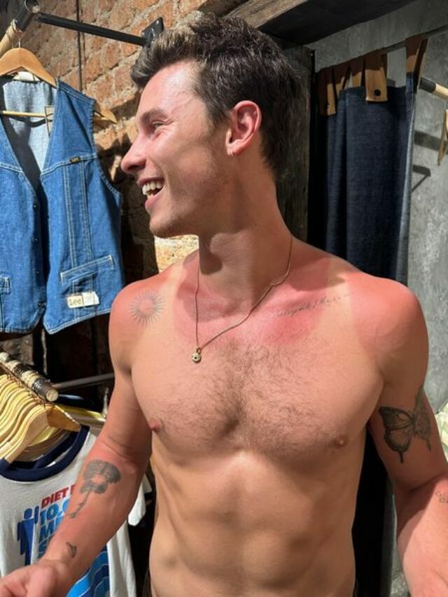 Shawn Mendes Flashes Hilarious Sun Burn During Mexico Vacation