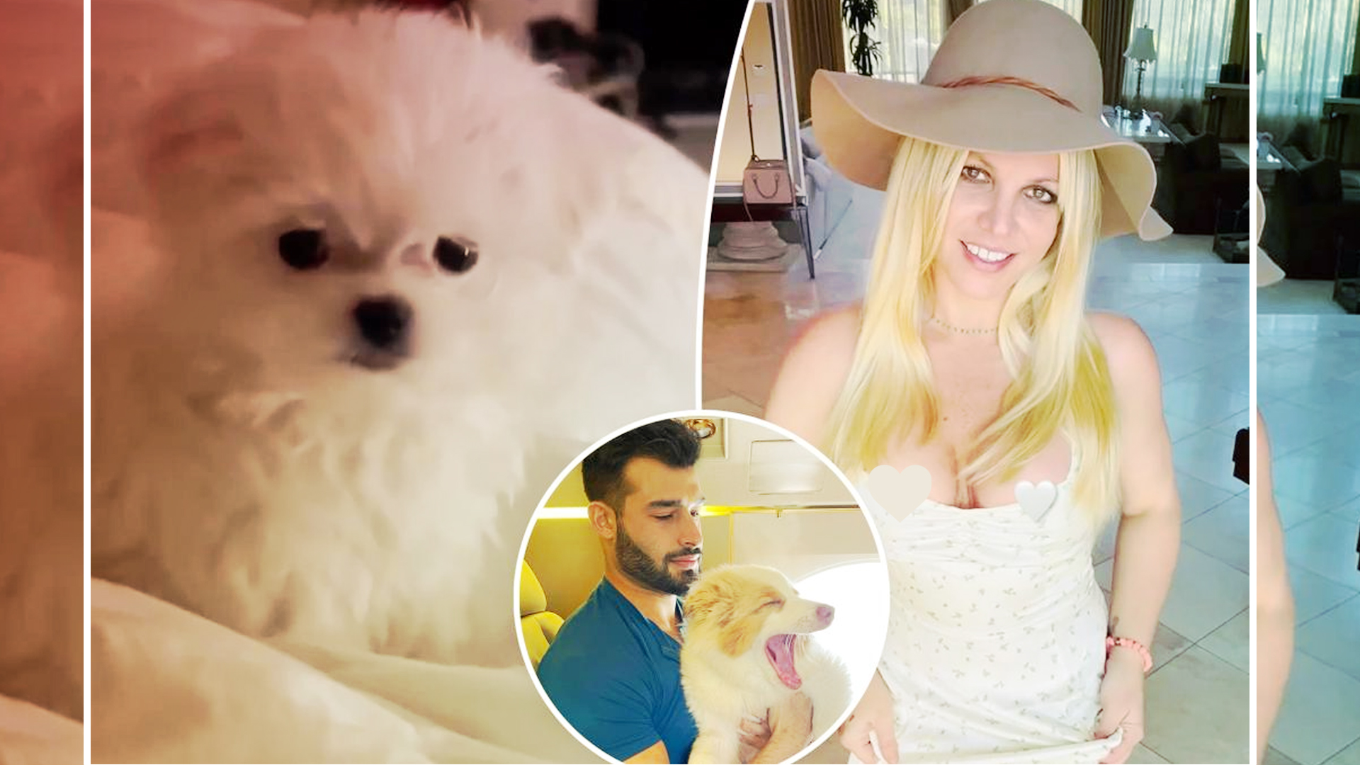 Britney Spears Adds New Family Member to Her Family!!!