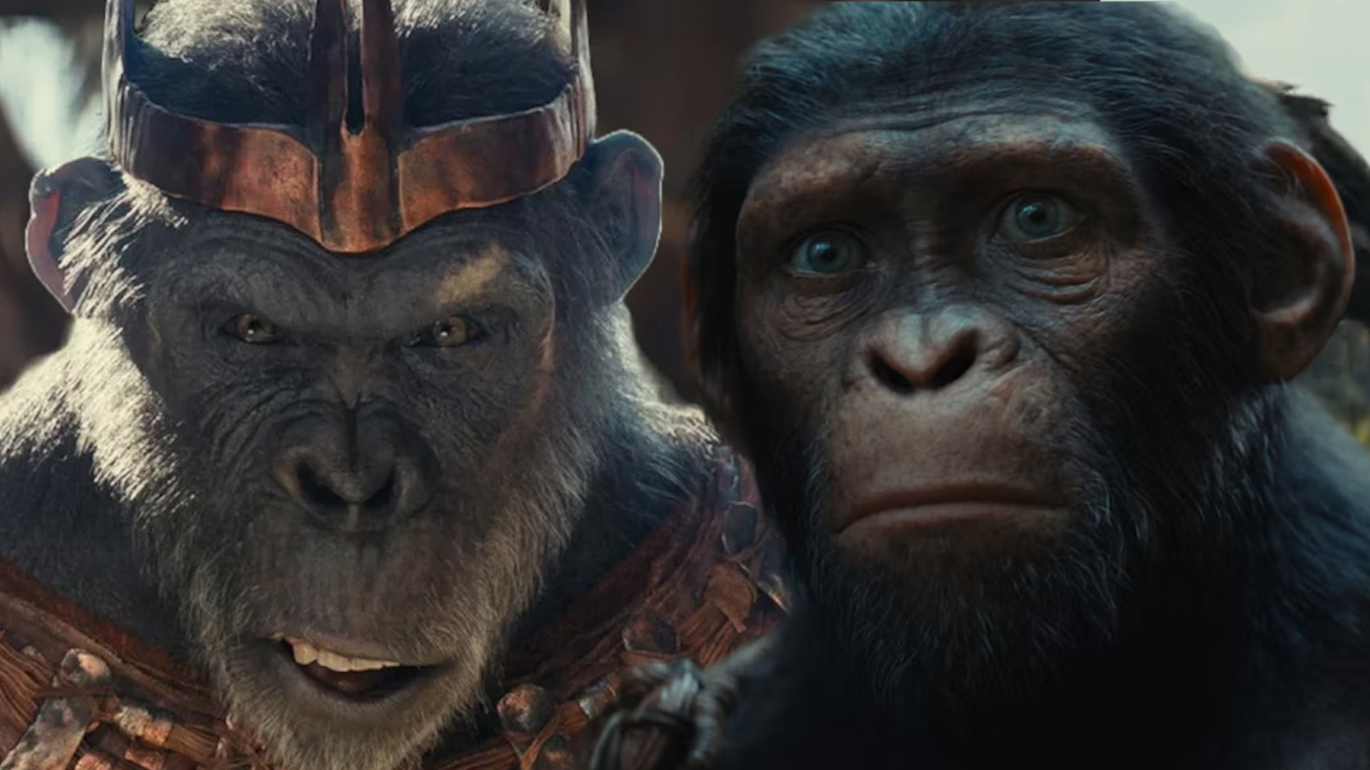 Kingdom of the Planet of the Apes